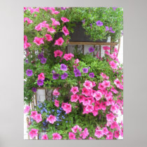 Pink & Purple Holland Flowers Photo Poster Art