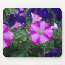 Pink & Purple Petunias Mousepads