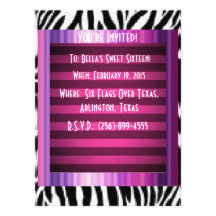 Pink, Purple, & Zebra Party Invitations