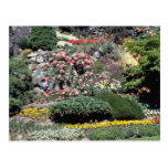 Pink Quarry flowers flowers Postcards
