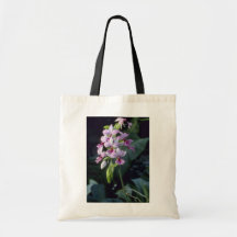 Pink Regnieri (Calanthe Vestita) flowers Canvas Bag