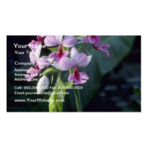 Pink Regnieri (Calanthe Vestita) flowers Business Card Template