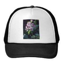 Pink Regnieri (Calanthe Vestita) flowers Mesh Hat