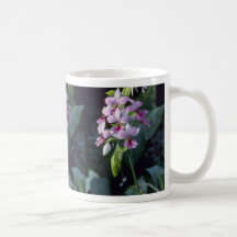 Pink Regnieri (Calanthe Vestita) flowers Mugs