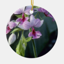 Pink Regnieri (Calanthe Vestita) flowers Christmas Tree Ornament