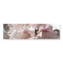 Pink Rhododendron 2 Bumper Stickers