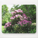 Pink Rhododendron Bush mousepads