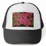 Pink Rhododendron Indicum 'Rose' (Azalea) flowers Hat