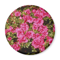 Pink Rhododendron Indicum 'Rose' (Azalea) flowers Fridge Magnet