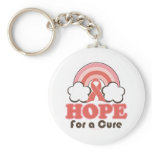 Pink Ribbon Rainbow Hope For A Cure Key Chain keychains