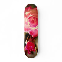 Pink rose