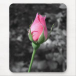 Pink Rose 4 Mouse Pad