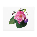 Pink Rose and Purple Morning Glories postcards