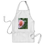 Pink Rose aprons