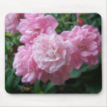 Pink Rose Beauties Mouse Pads