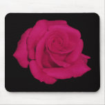 Pink rose, black background mousepad (gifts)
