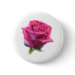 Pink Rose Bud Button