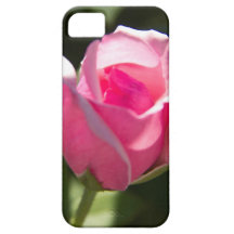 Pink Rose Bud iPhone 5 Cases
