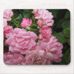 Pink Rose Bundle Mouse Pads