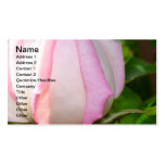 Pink Rose Business Card