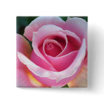 Pink Rose Button