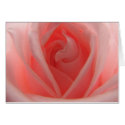 Pink Rose cards