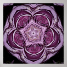 Pink Rose Contours Jan 2013 Print