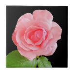 Pink Rose Decorative Ceramic Tile
