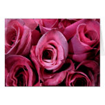 Pink rose design cards
