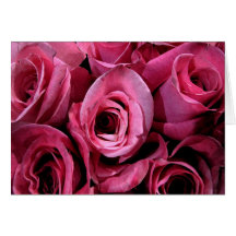 Pink rose design cards