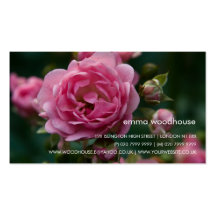Pink Rose DSC3266 Business Card