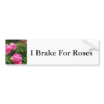 PINK ROSE - flower close up Bumper Stickers