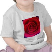 Pink Rose Flower Painting Art - Multi