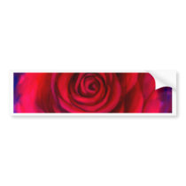 Pink Rose Flower Painting Art - Multi