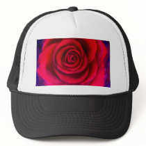 Pink Rose Flower Painting Art - Multi