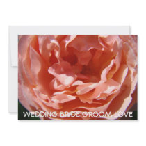 Pink Rose Flowers Save the Date Wedding Card