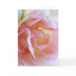 Pink Rose For Mother's Day - Card