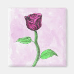 Pink Rose. Fridge Magnet
