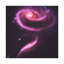 Pink Rose Galaxies Gallery Wrapped Canvas