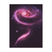 Pink Rose Galaxies postcards