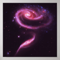 Pink Rose Galaxies Posters