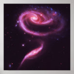 Pink Rose Galaxies Posters