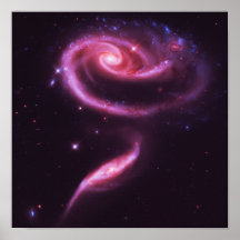Pink Rose Galaxies Posters