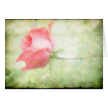 Pink Rose Greeting Card