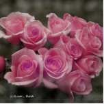 Pink rose group bunch photograph design photo sculptures