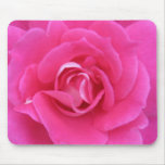Pink Rose IMG_0862 Mouse Pad