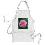 Pink rose in full bloom and meaning aprons