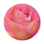 pink rose magnet