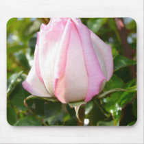 Pink Rose Mouse Pad