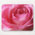 Pink Rose Mousepad